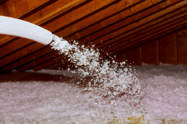 Best Local Insulation Services  in Absecon, NJ