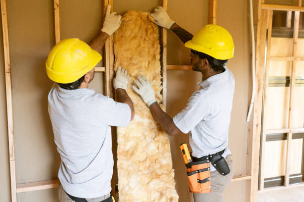 Best Home Insulation Services  in Absecon, NJ