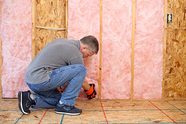 Best Best Insulation Companies  in Absecon, NJ