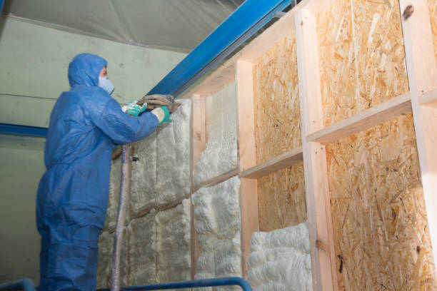 Best Wall Insulation Contractor  in Absecon, NJ