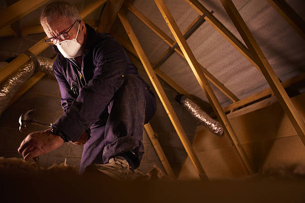 Best Cellulose Insulation  in Absecon, NJ